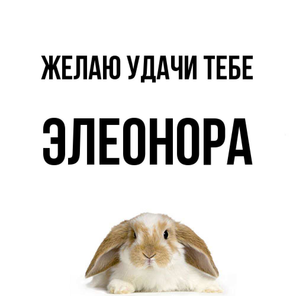 Открытка  с именем. Элеонора, Желаю удачи тебе  