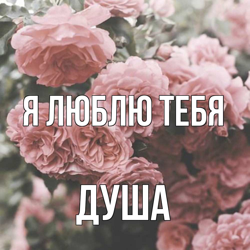 Открытка  с именем. Душа, Я люблю тебя  