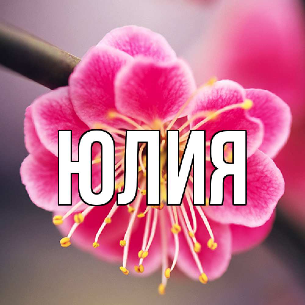 Открытка  с именем. Юлия, Главная  