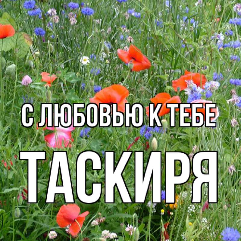 Картинка С любовью к тебе, Таскиря