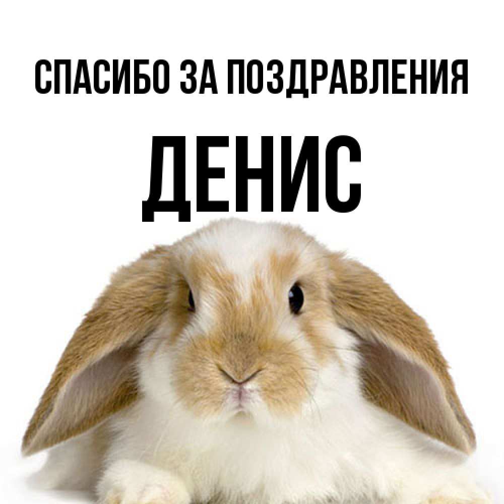 Открытка  с именем. Денис, Спасибо за поздравления  