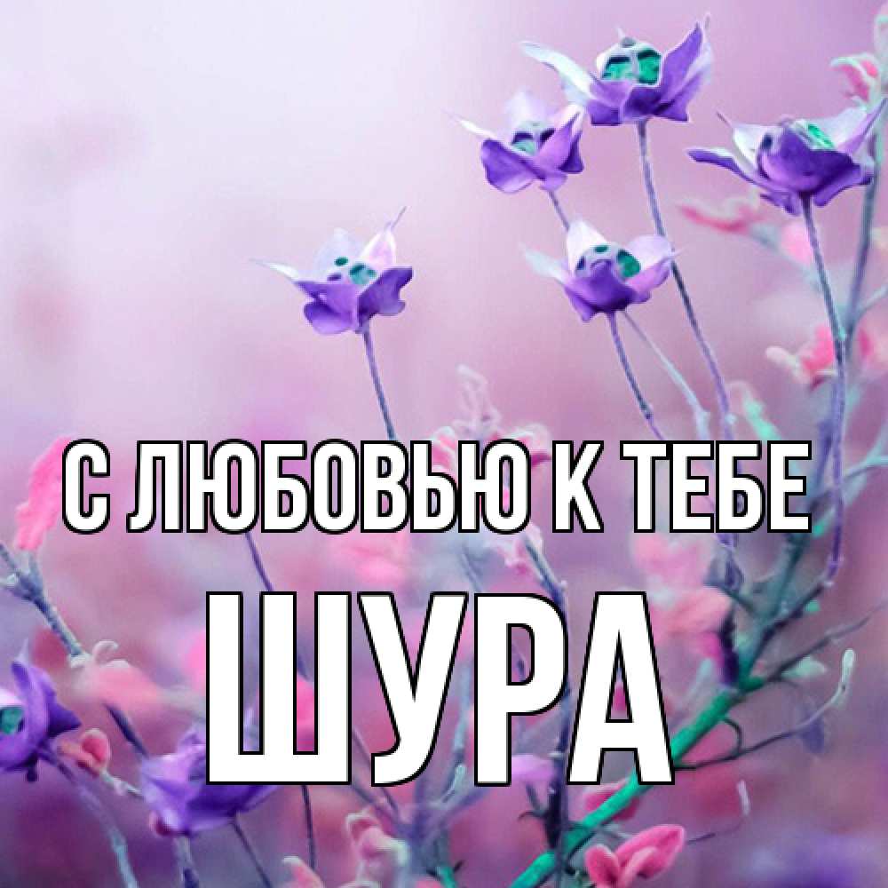 Открытка  с именем. Шура, С любовью к тебе  