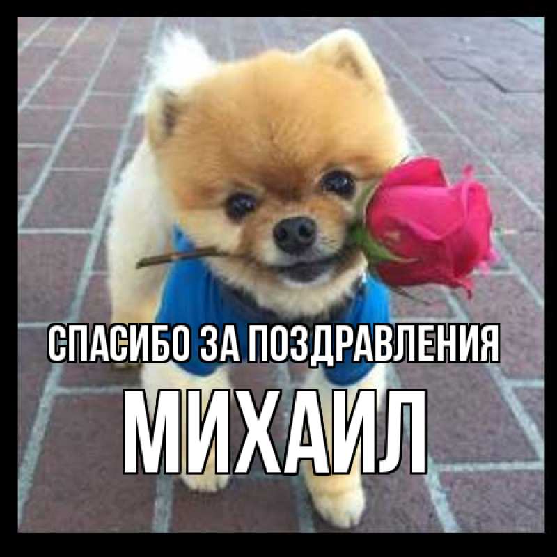 Картинка Спасибо за поздравления, Михаил