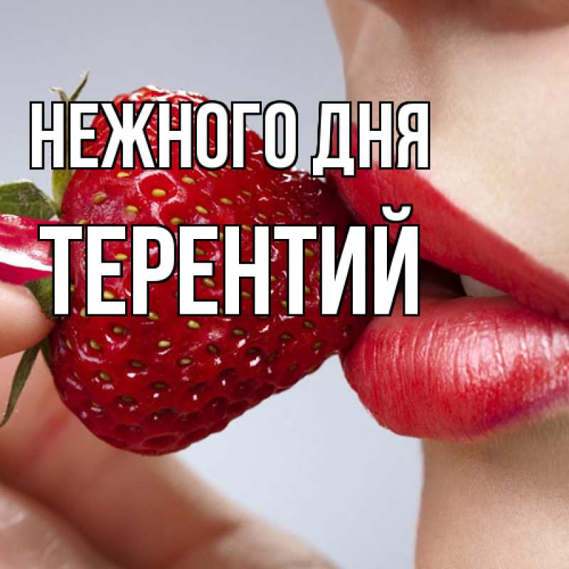 Картинка Нежного дня, Терентий
