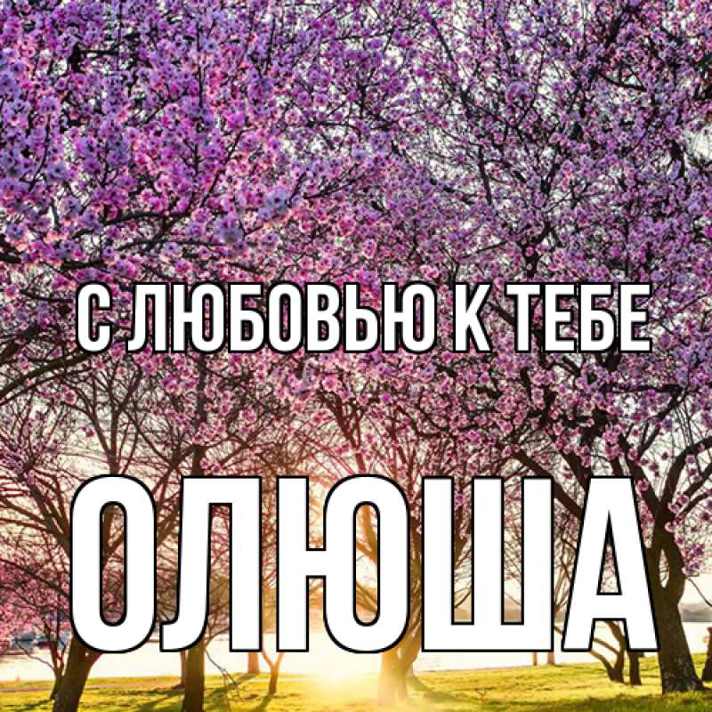 Картинка С любовью к тебе, Олюша