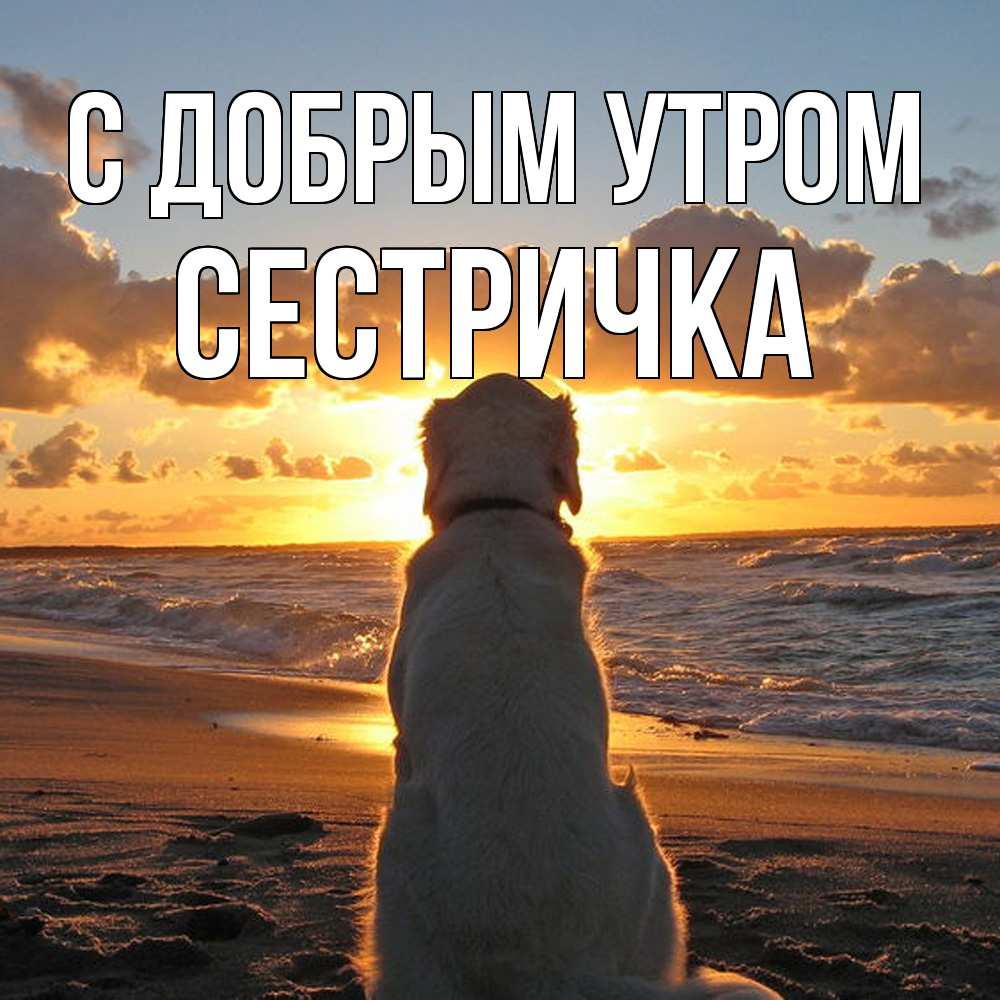 Открытка  с именем. Сестричка, С добрым утром  
