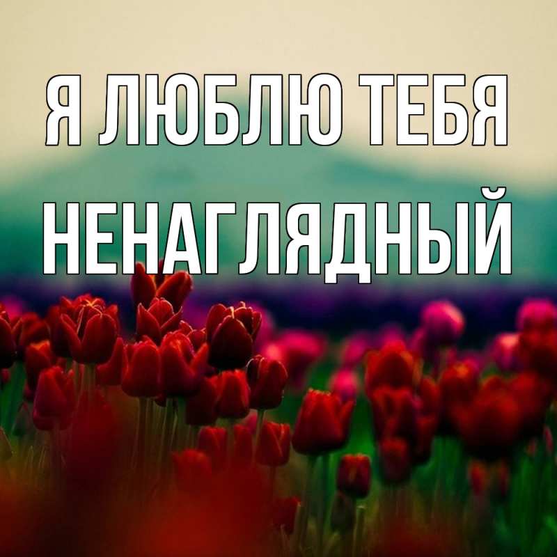 Картинка Я люблю тебя, Ненаглядный