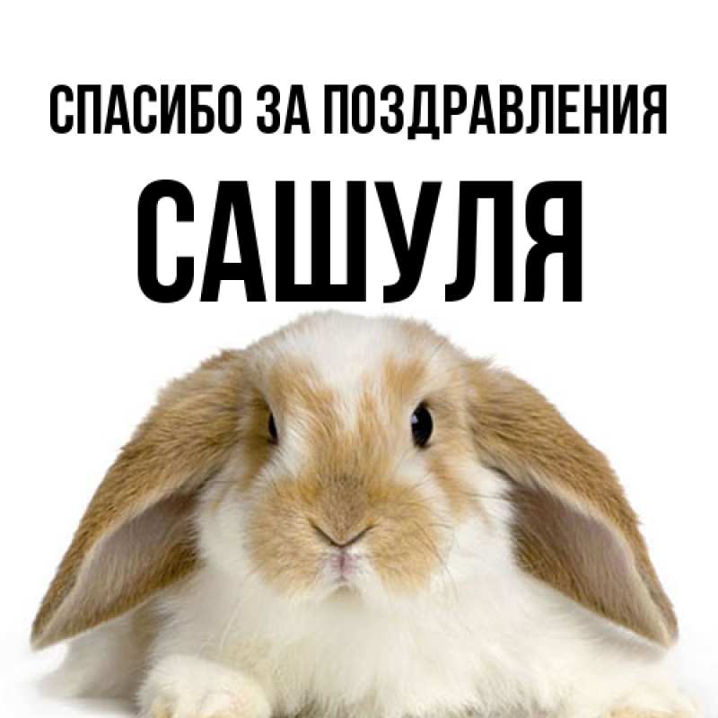 Картинка Спасибо за поздравления, Сашуля