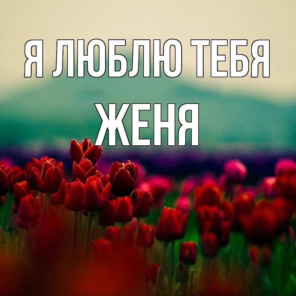 Открытка  с именем. Женя, Я люблю тебя  