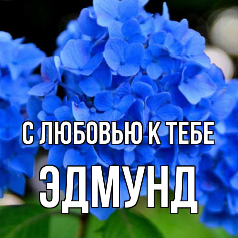 Картинка С любовью к тебе, Эдмунд