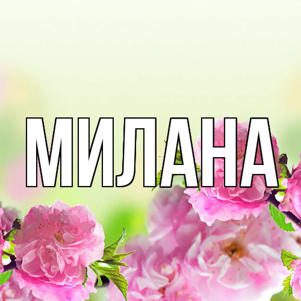 Открытка  с именем. Милана, Главная  