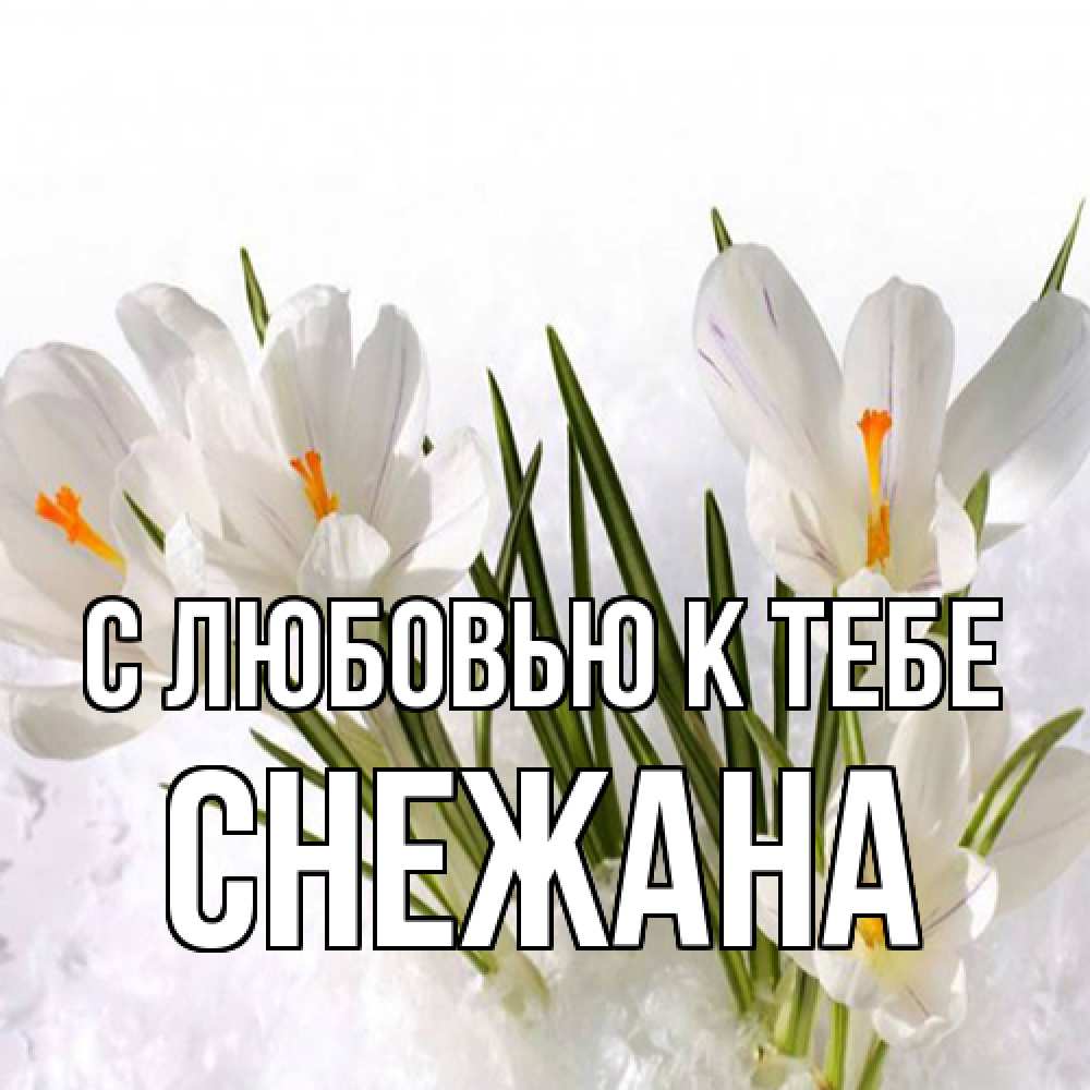 Открытка  с именем. Снежана, С любовью к тебе  