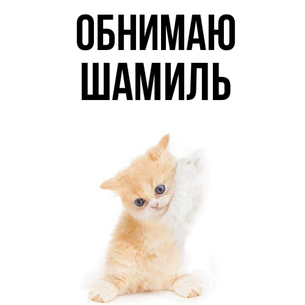 Открытка  с именем. Шамиль, Обнимаю  