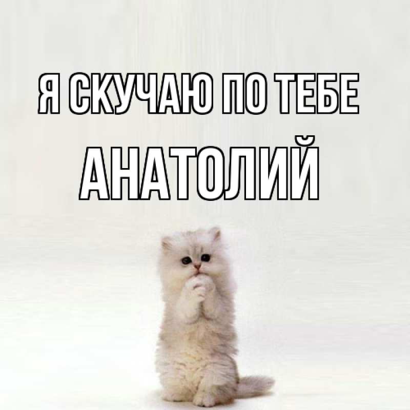 Картинка Я скучаю по тебе, Анатолий