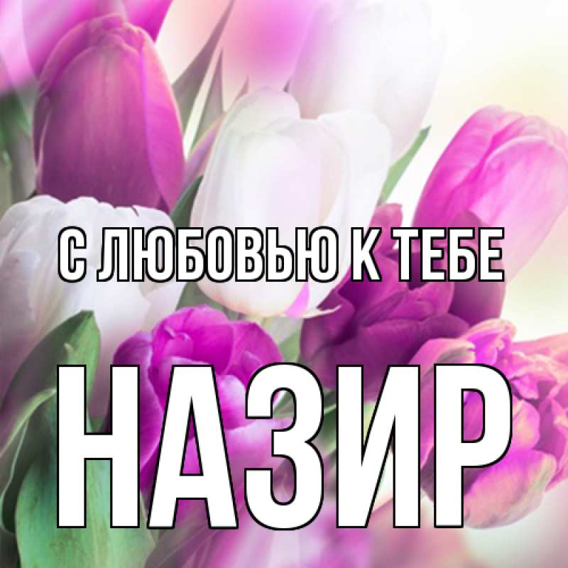 Картинка С любовью к тебе, Назир