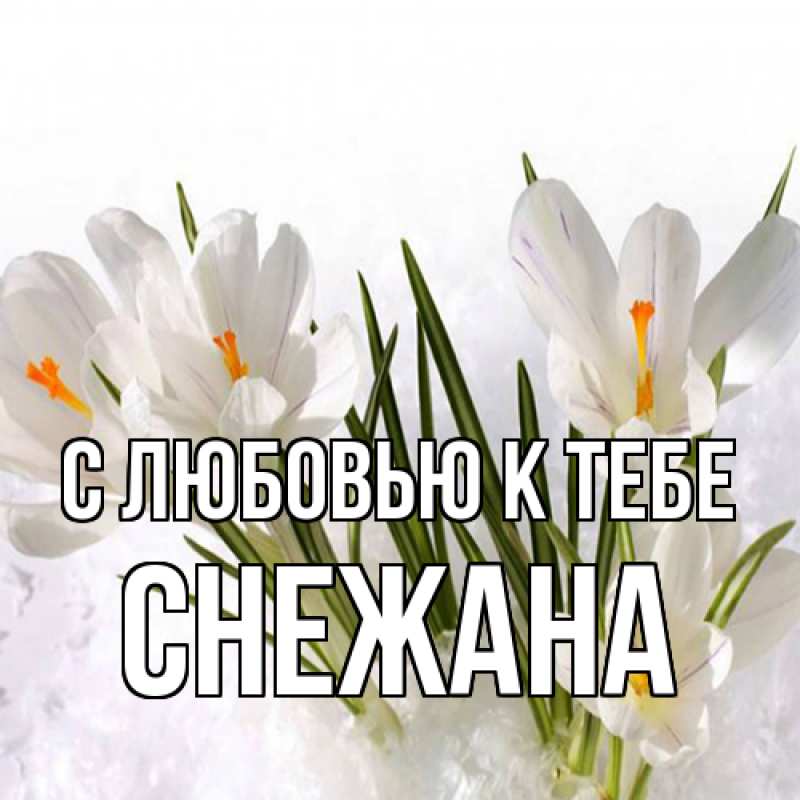 Картинка С любовью к тебе, Снежана