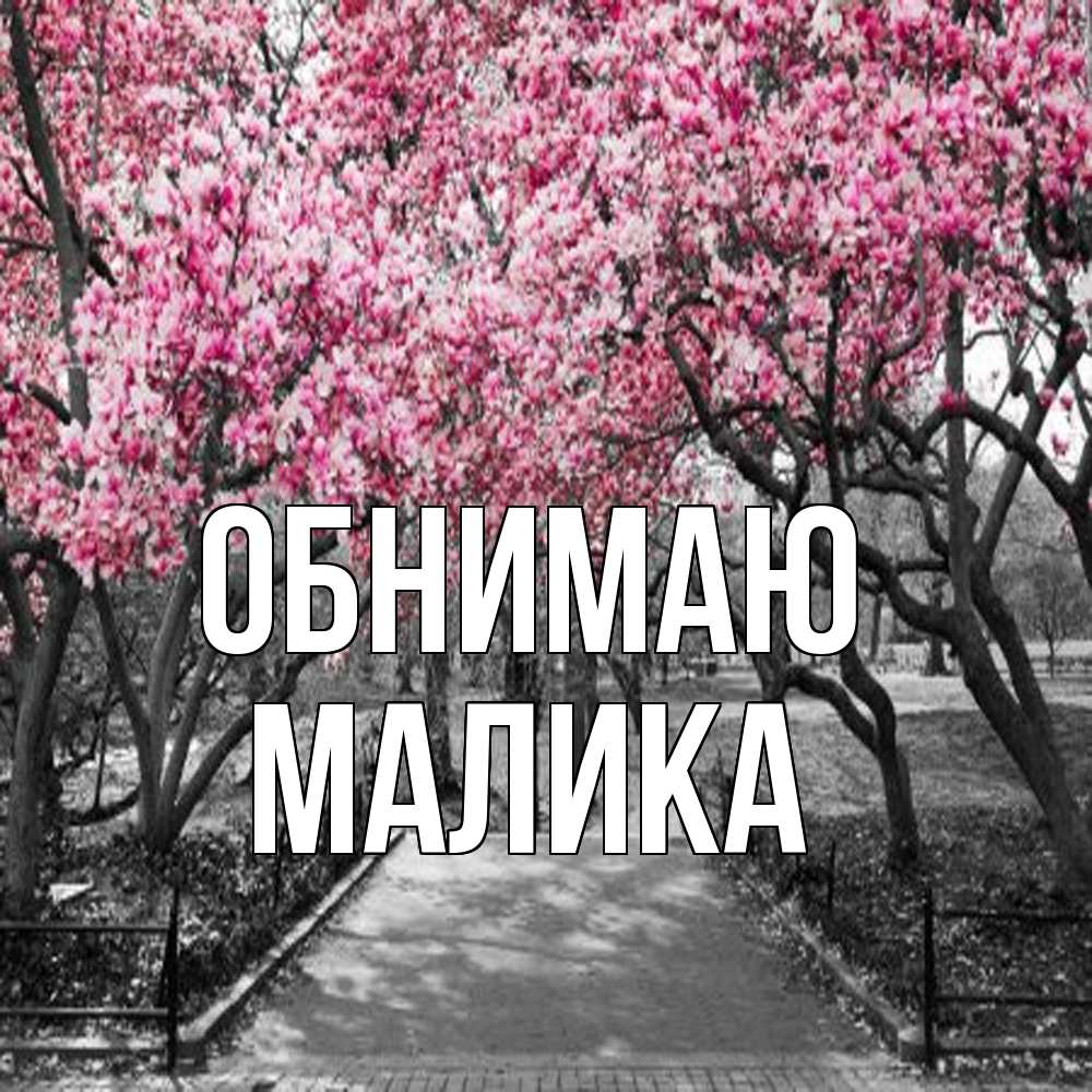 Открытка  с именем. Малика, Обнимаю  