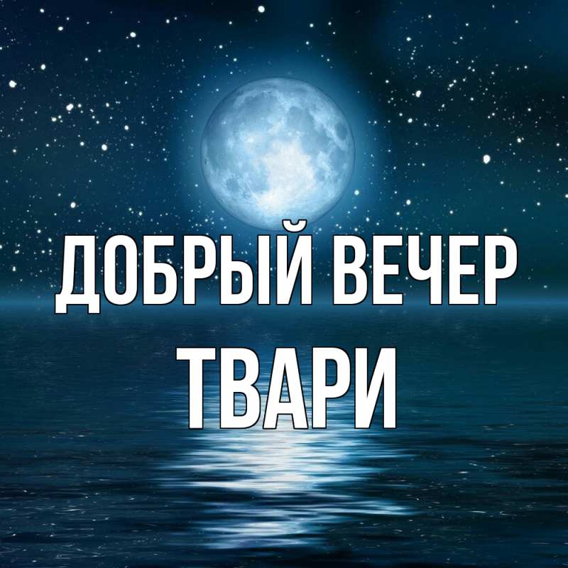 Картинка Добрый вечер, твари