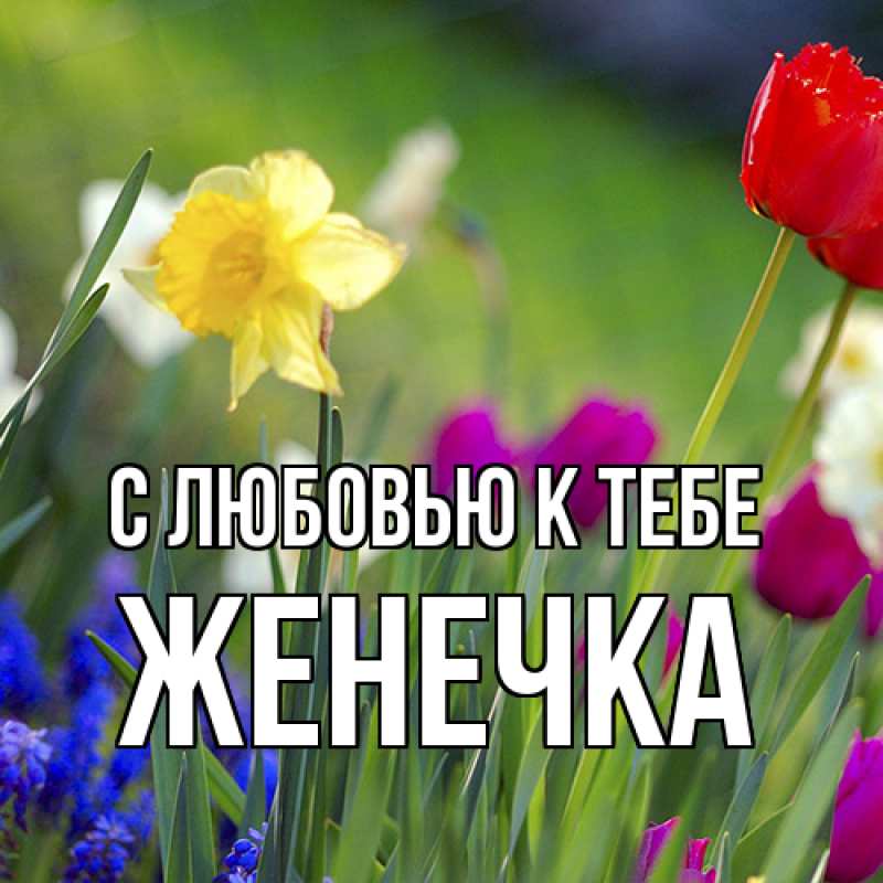 Картинка С любовью к тебе, Женечка