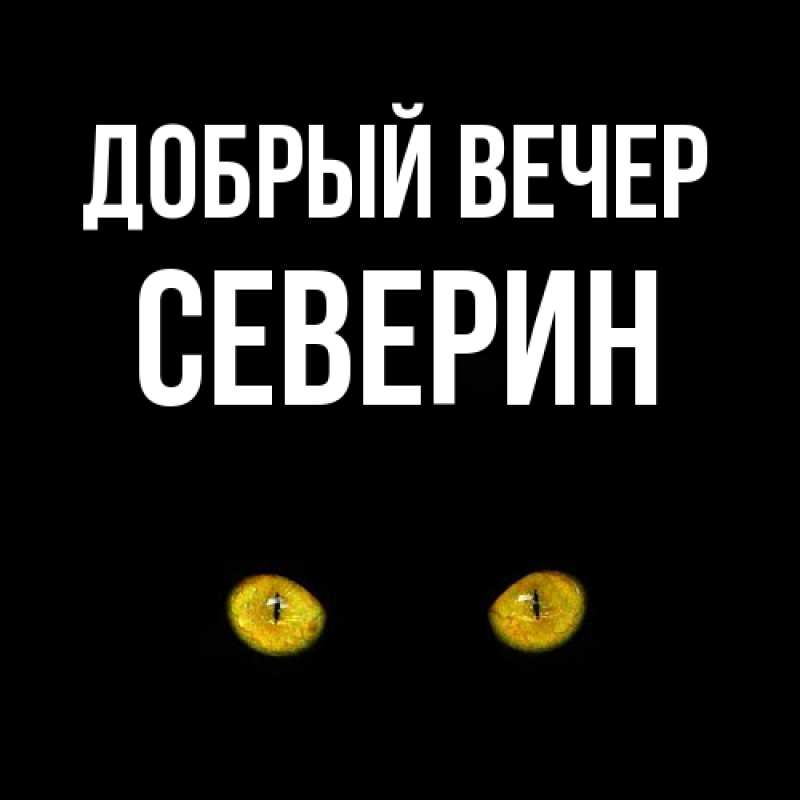 Картинка Добрый вечер, Северин