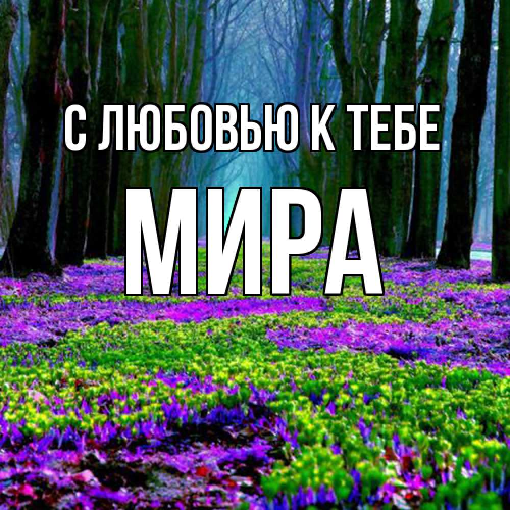 Открытка  с именем. Мира, С любовью к тебе  