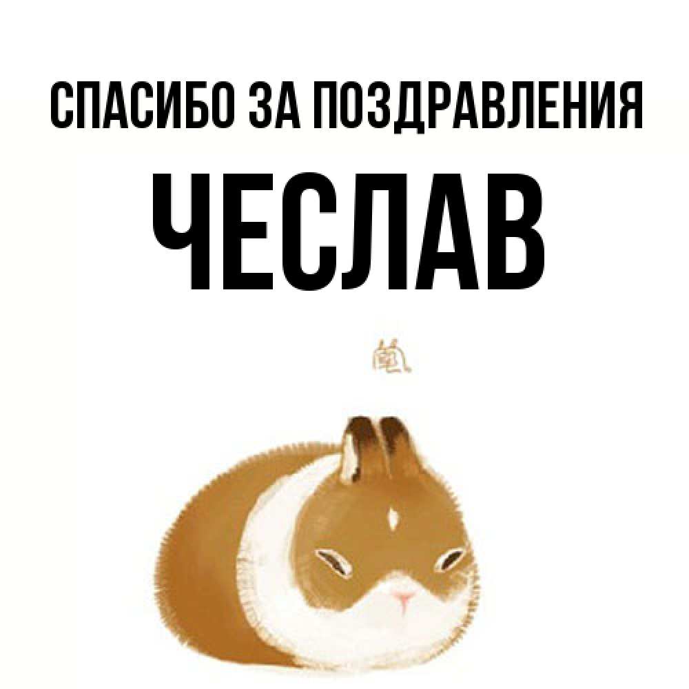 Открытка  с именем. Чеслав, Спасибо за поздравления  