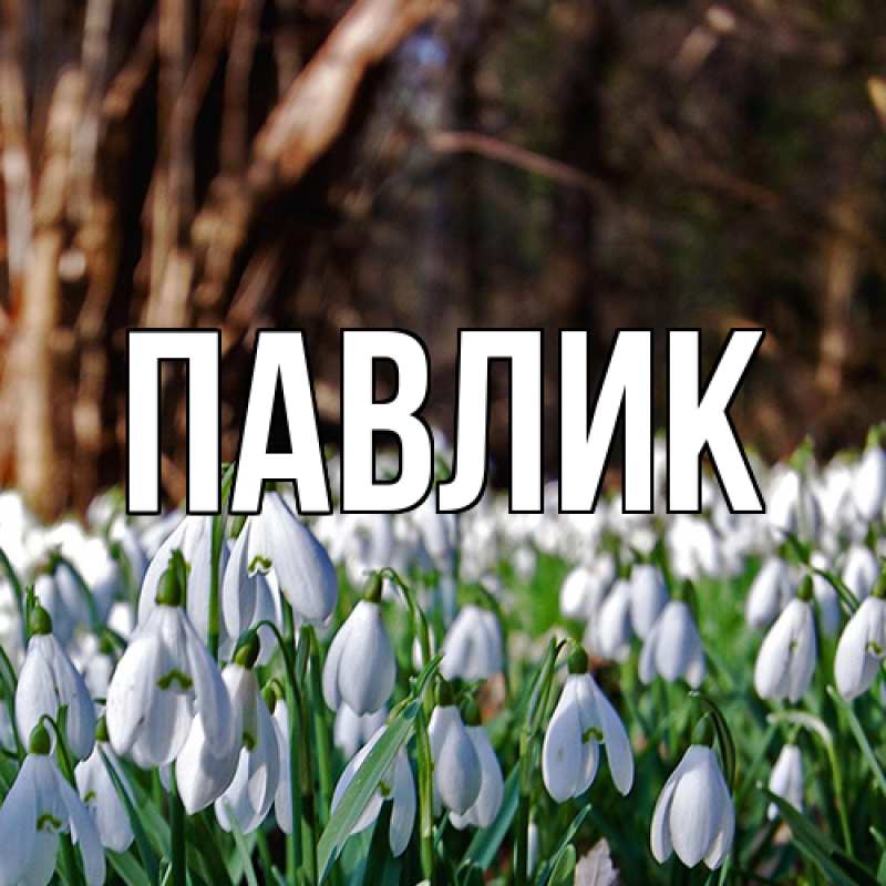 Картинка  с именем , Павлик