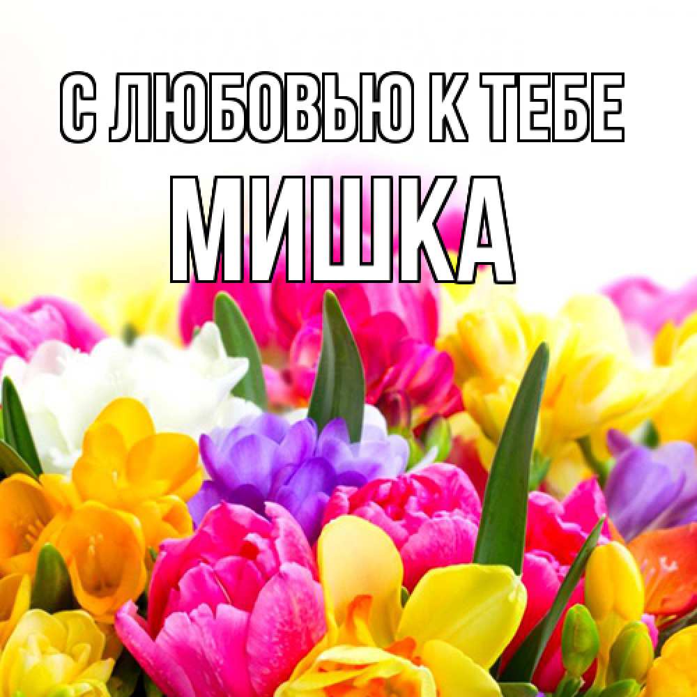 Открытка  с именем. Мишка, С любовью к тебе  