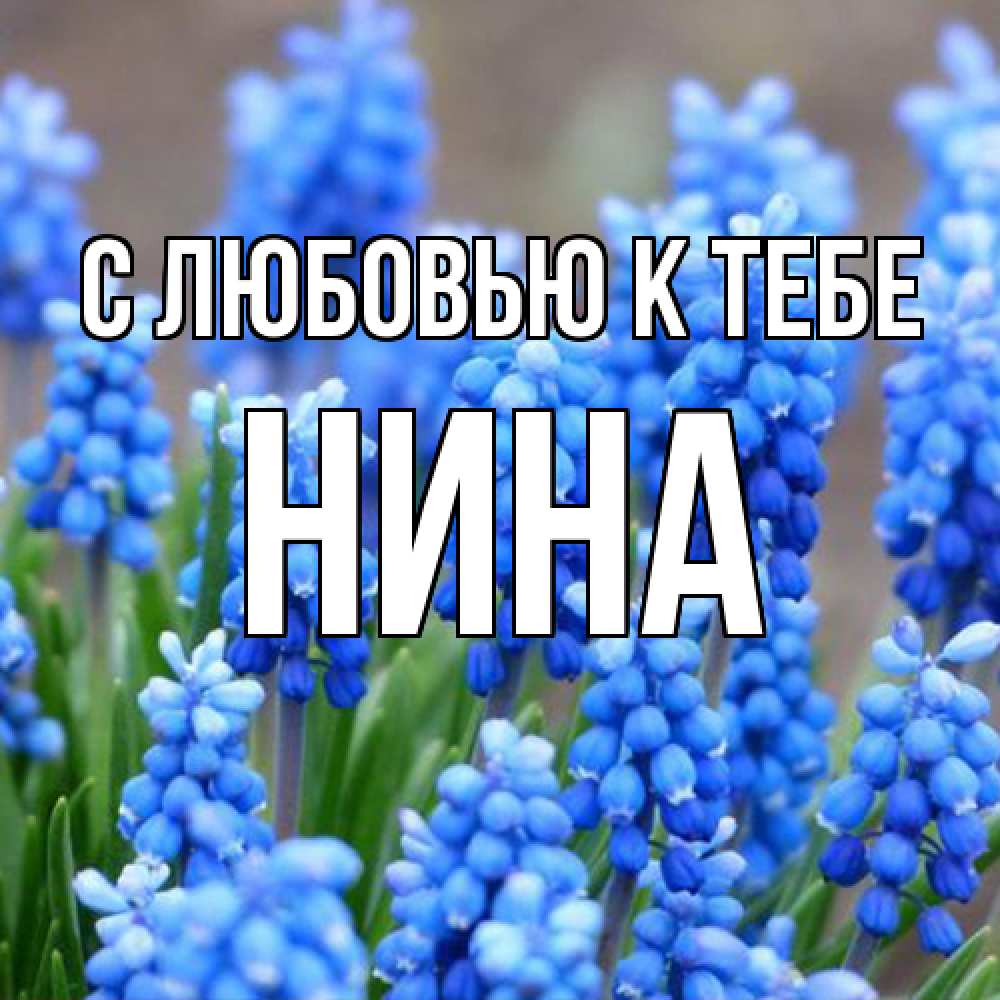 Открытка  с именем. Нина, С любовью к тебе  