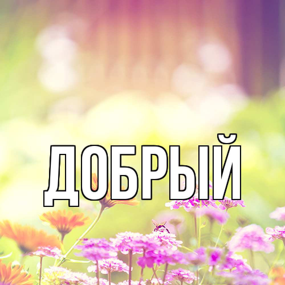 Открытка  с именем. Добрый, Главная  