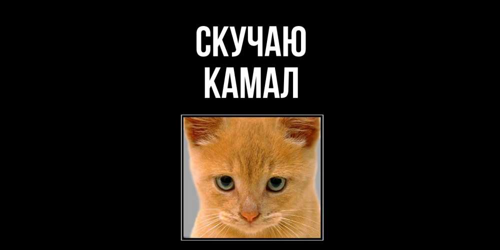 Открытка  с именем. Камал, Скучаю  