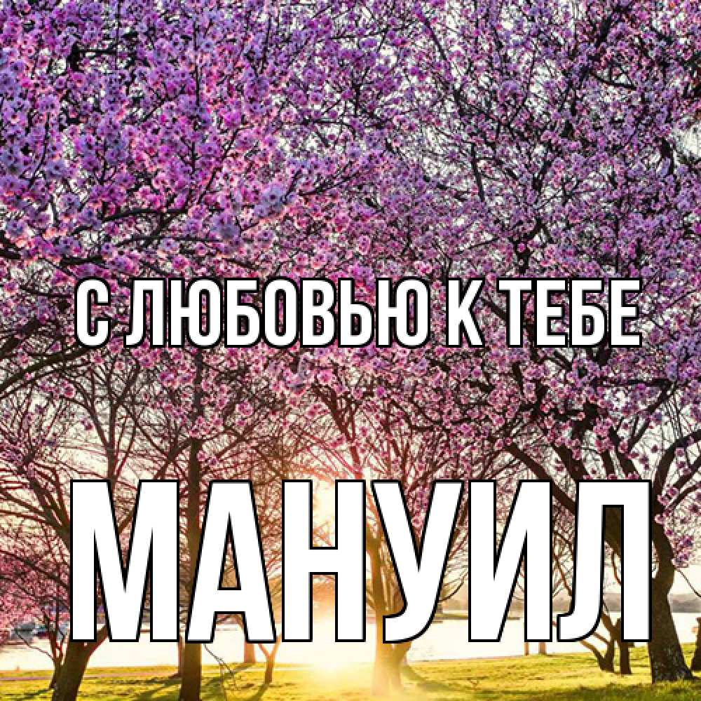 Открытка  с именем. Мануил, С любовью к тебе  