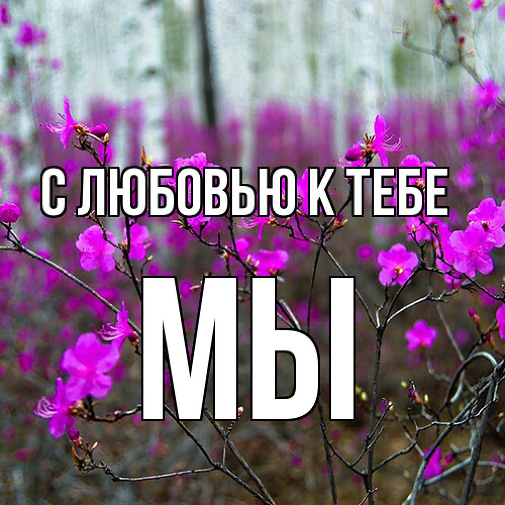 Открытка  с именем. Мы, С любовью к тебе  