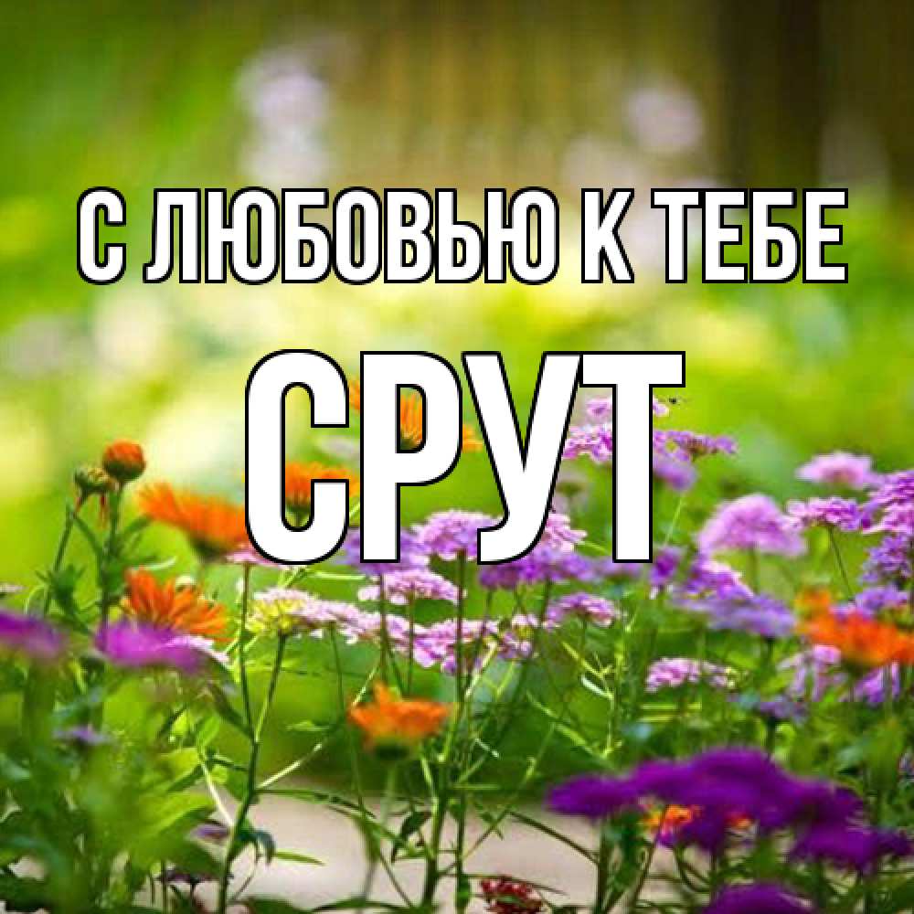 Открытка  с именем. срут, С любовью к тебе  