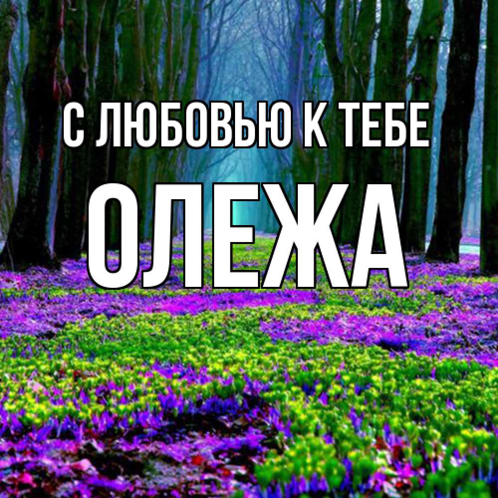 Открытка  с именем. Олежа, С любовью к тебе  