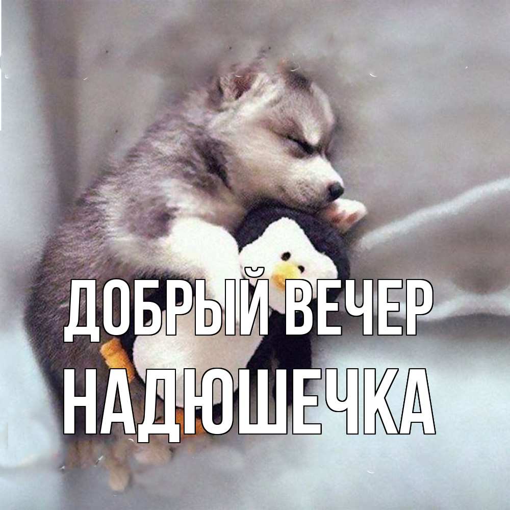 Открытка  с именем. Надюшечка, Добрый вечер  