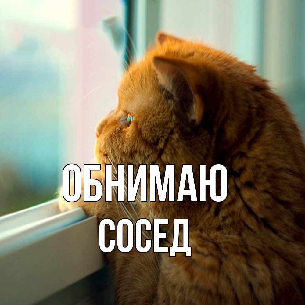 Открытка  с именем. Сосед, Обнимаю  