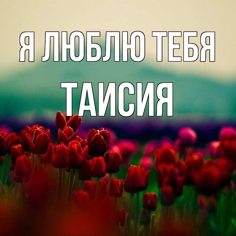 Открытка  с именем. Таисия, Я люблю тебя  