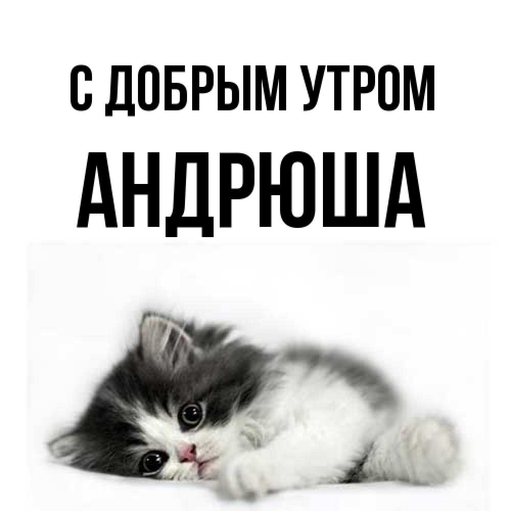 Открытка  с именем. Андрюша, С добрым утром  