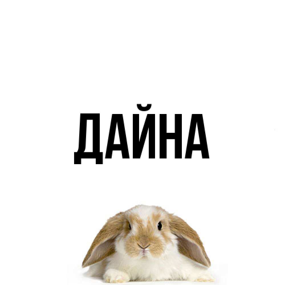 Открытка  с именем. Дайна, Главная  
