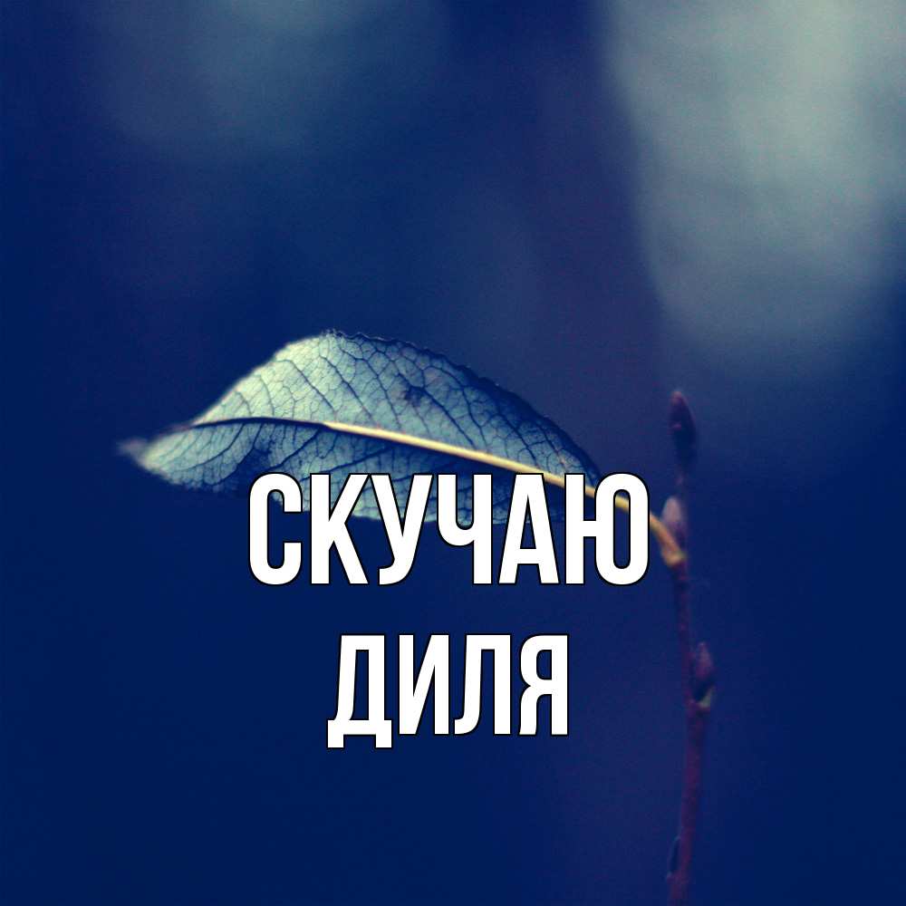 Открытка  с именем. Диля, Скучаю  