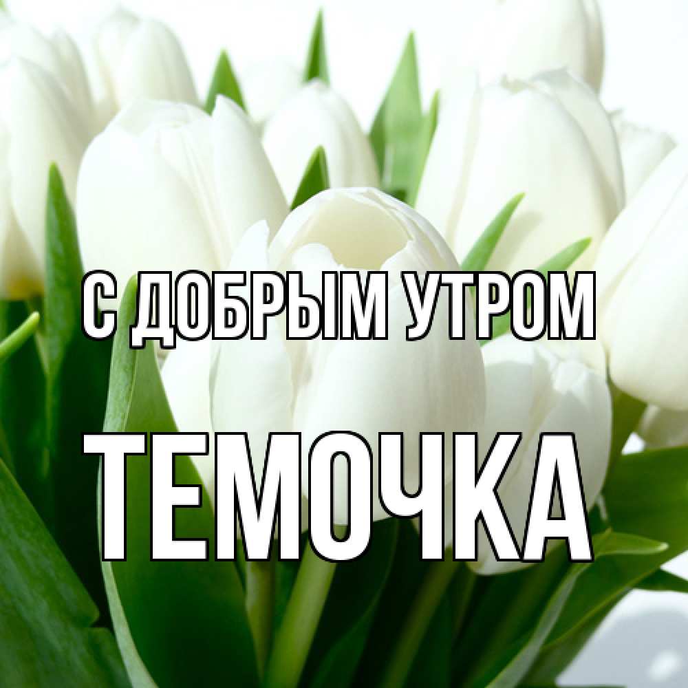 Открытка  с именем. Темочка, С добрым утром  