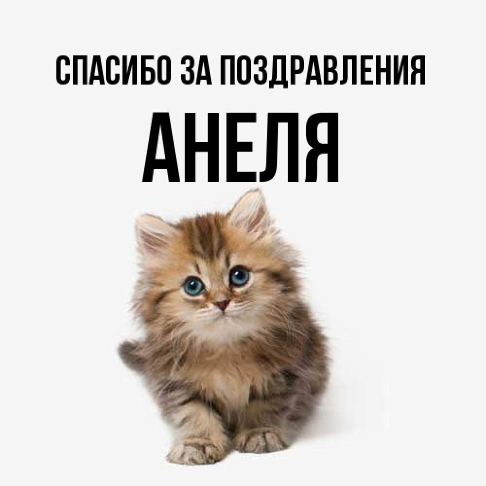 Открытка  с именем. Анеля, Спасибо за поздравления  
