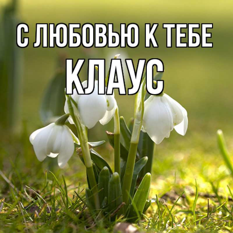 Картинка С любовью к тебе, Клаус