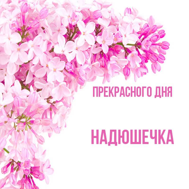Картинка Прекрасного дня, Надюшечка