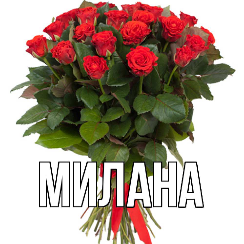 Открытка  с именем. Милана, Главная  