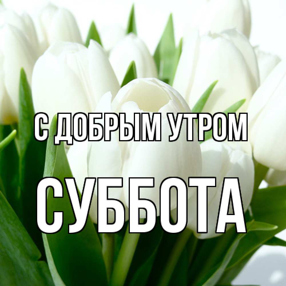 Открытка  с именем. Суббота, С добрым утром  