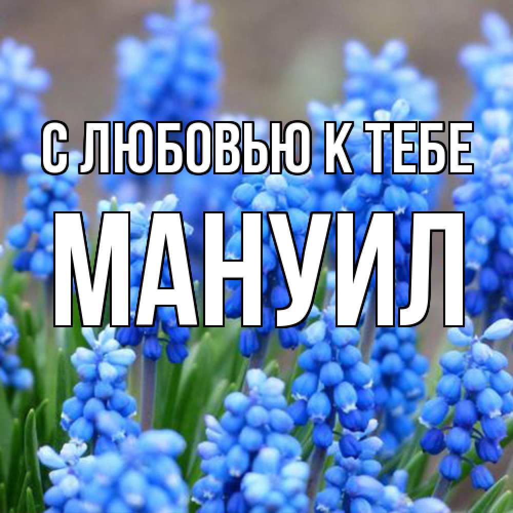 Открытка  с именем. Мануил, С любовью к тебе  