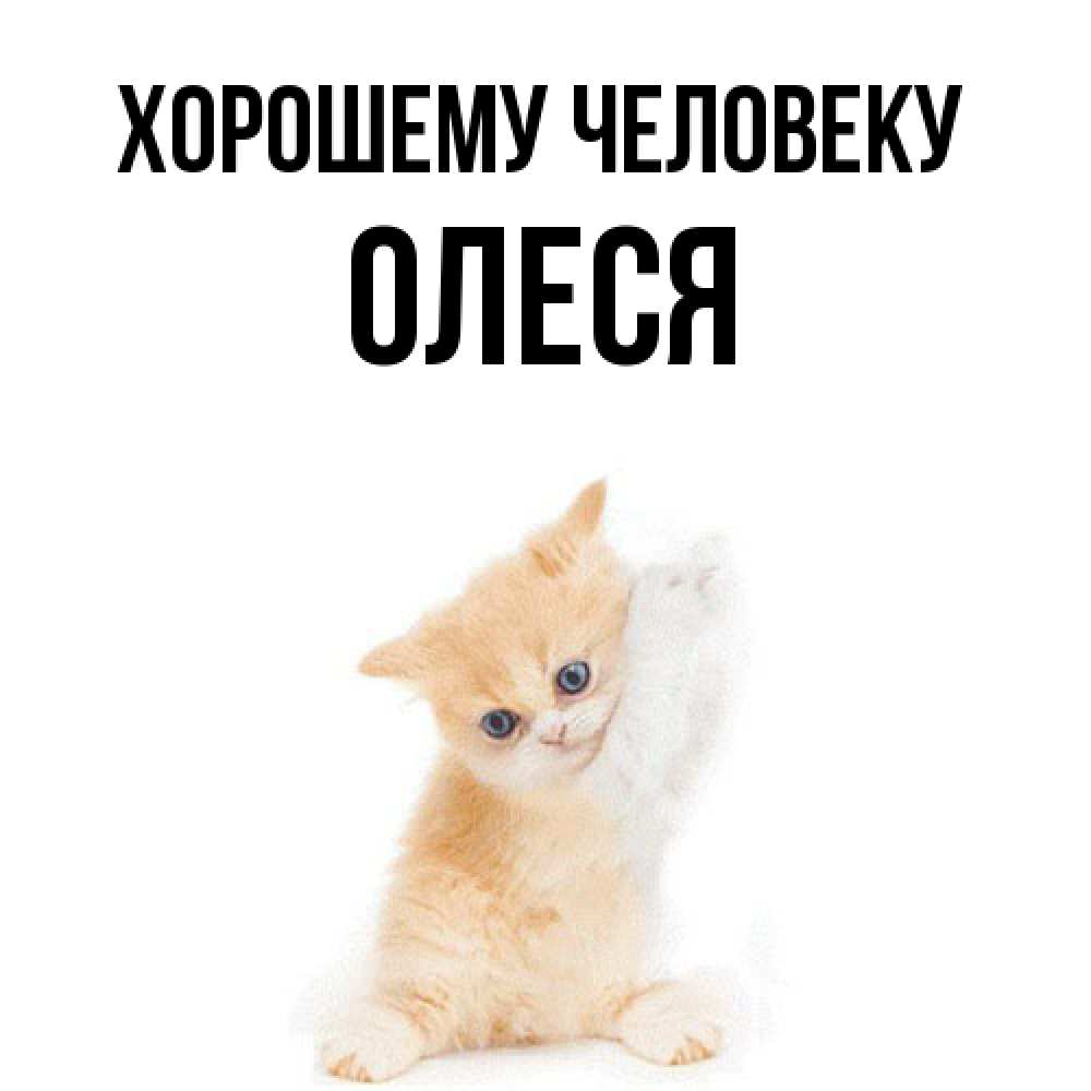 Открытка  с именем. олеся, Хорошему человеку  