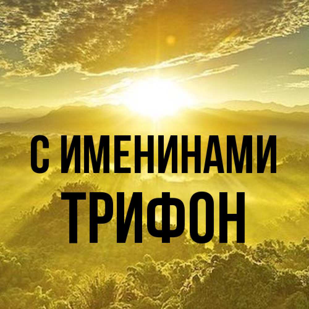 Открытка  с именем. Трифон, С именинами  